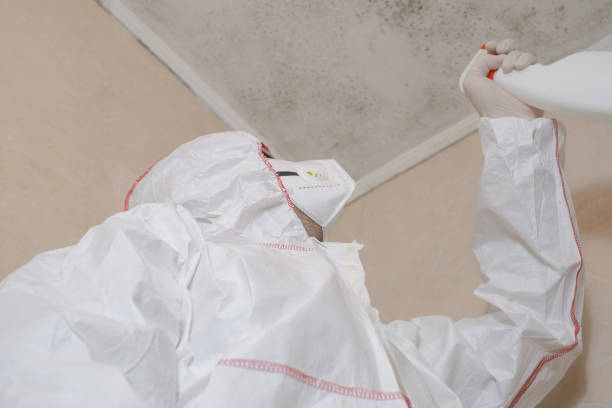 Best Home Mold Removal  in Lincoln City, OR