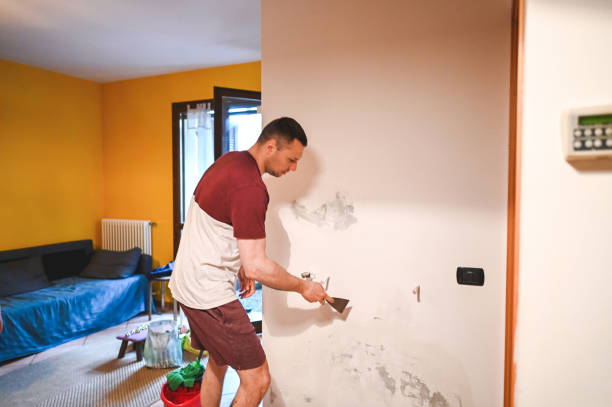 Best Fast Mold Removal  in Lincoln City, OR